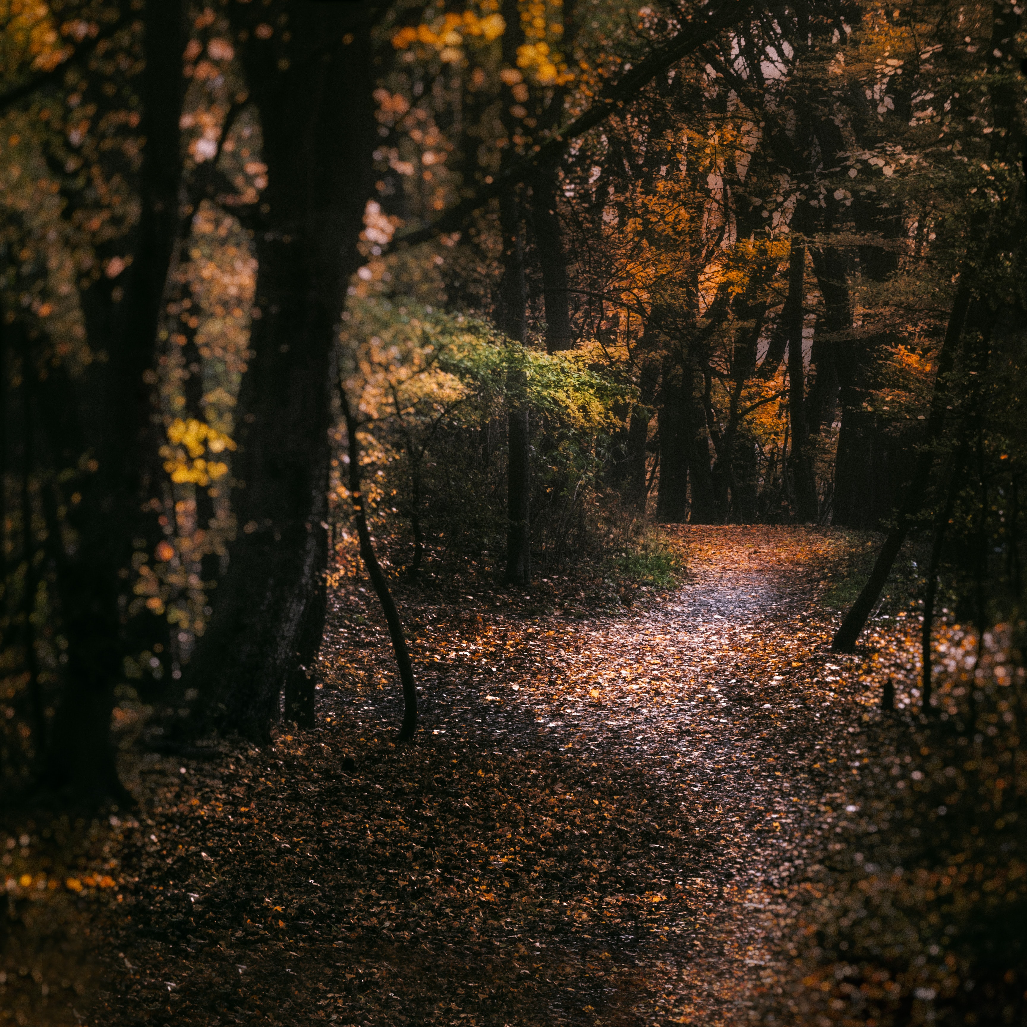 Nature